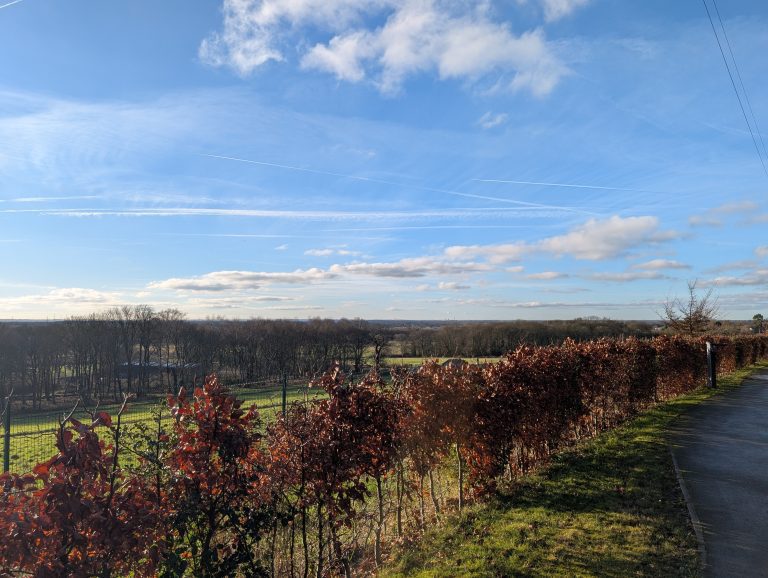 Panoramic view from RHS Bridgewater looking over towards Warrington