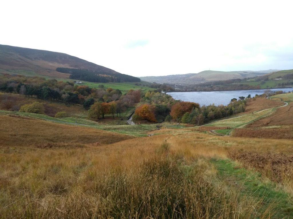 a grassy field with a lake in the distance